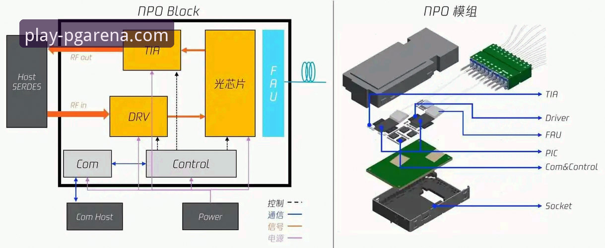 PG电子游戏精准对接必备：从技术角度深度解析平台入口与版本优化